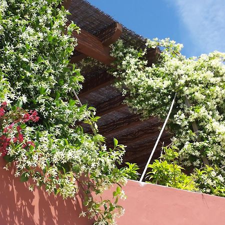 Gato Preto De Silves - Adults Only Bed and Breakfast Buitenkant foto