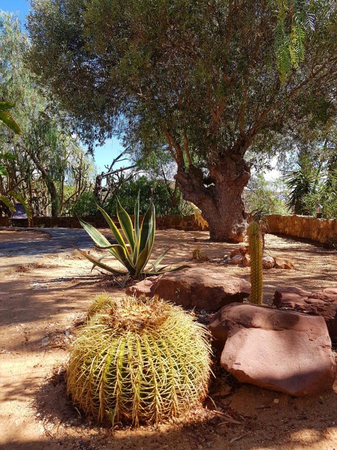 Gato Preto De Silves - Adults Only Bed and Breakfast Buitenkant foto